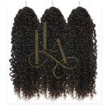 pixie curly crochet human hair